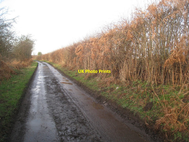 Photo 6"x4" Green Lane, Cantley Cantley\/SE6202 c2013