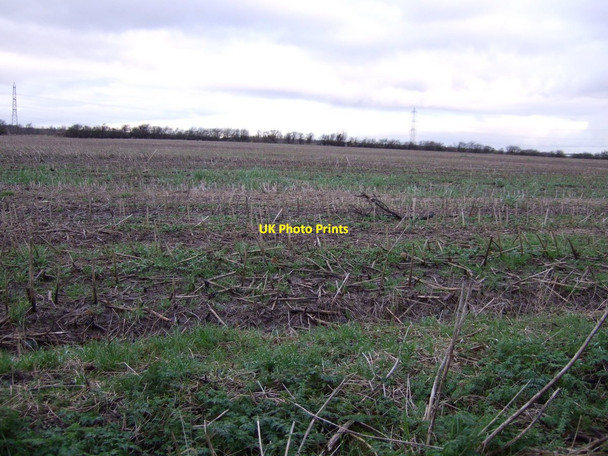 Photo 6"x4" Farmland off Wolviston Mill Lane Billingham c2013