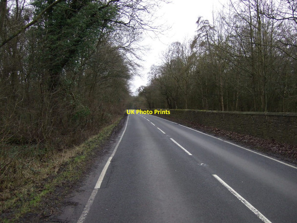 Photo 6"x4" Wynyard Road Fulthorpe c2013