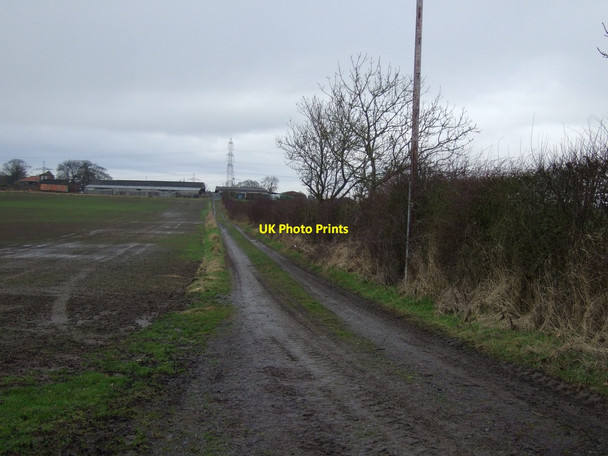 Photo 6"x4" Track to Howden Hall Stockton-on-Tees c2013