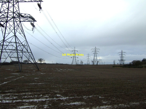 Photo 6"x4" Field of pylons Carlton\/NZ3921 c2013