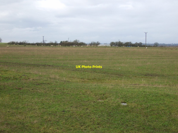 Photo 6"x4" Grazing, Oxe Eye Farm Whinny Hill\/NZ3819 c2013