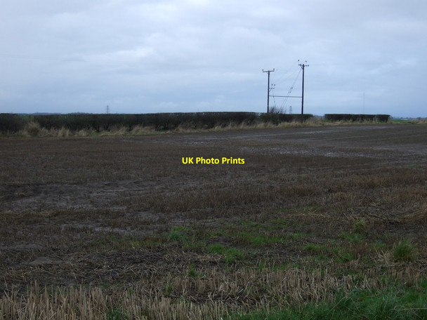 Photo 6"x4" Farmland, East Newbiggin Sadberge c2013