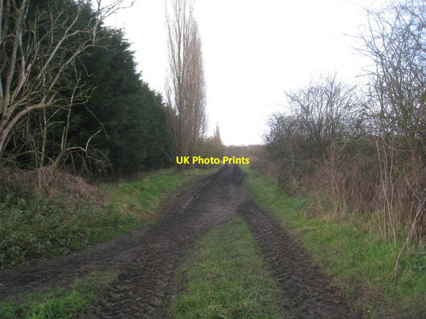 Photo 6"x4" Bridleway to Old Wood Skellingthorpe c2013