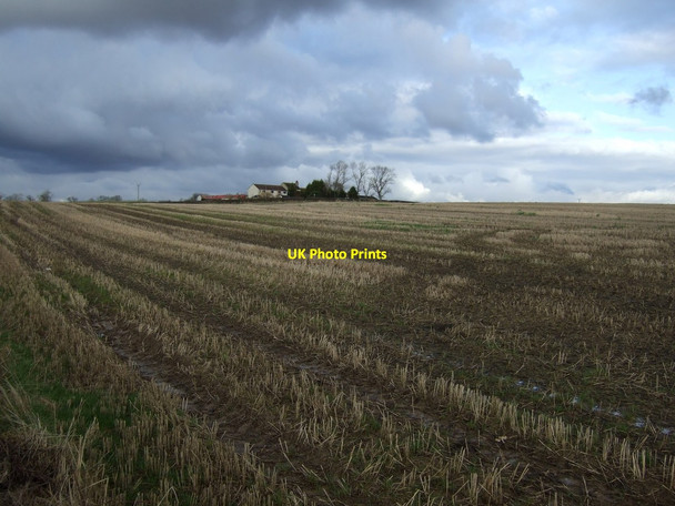 Photo 6"x4" Farmland towards Whitton Moor Farm Grindon\/NZ3925 c2013