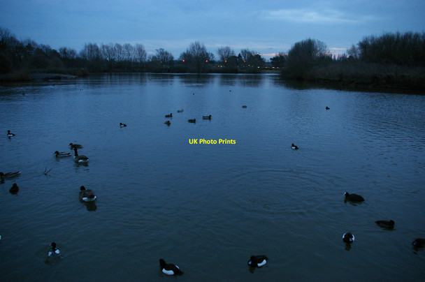 Photo 6"x4" The lake, South Norwood Country Park, winter evening Beckenham c2013