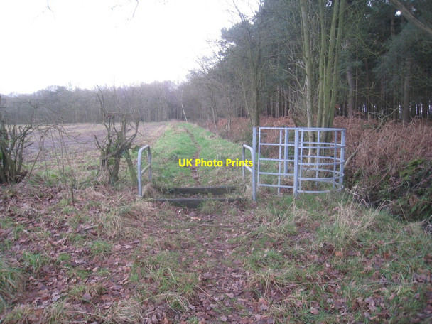 Photo 6"x4" The bridleway to Whisby Road Doddington\/SK9070 c2013