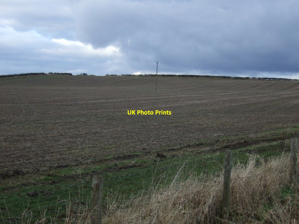 Photo 6"x4" Farmland near Brookfield House Mordon c2013