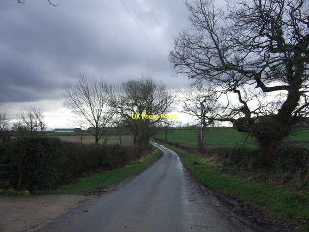 Photo 6"x4" Spring Lane heading south  Shotton\/NZ3625 c2013