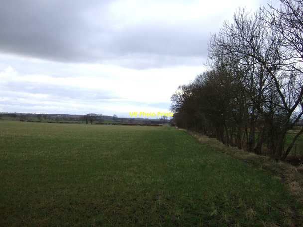 Photo 6"x4" Farmland, Foxton Wood Shotton\/NZ3625 c2013