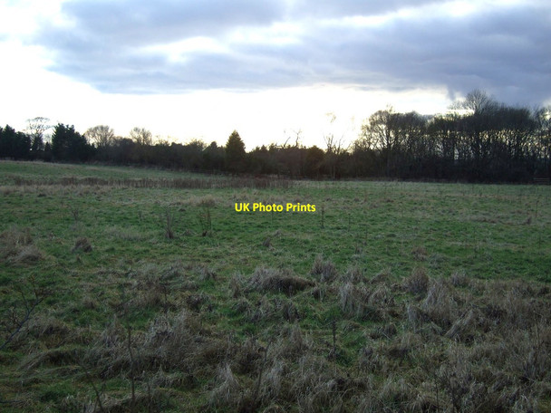 Photo 6"x4" Rough grazing, Newlands Grindon\/NZ3925 c2013