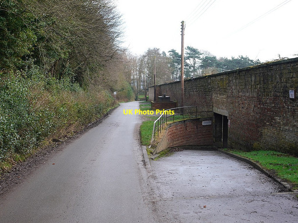 Photo 6"x4" Lane north of Walled Garden, Close House Houghton\/NZ1266 c2013
