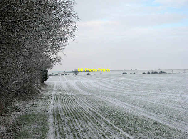 Photo 6"x4" East of The Beechwoods Cherry Hinton c2013