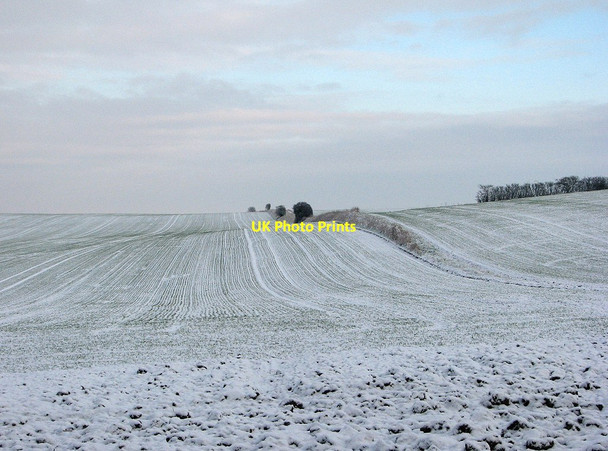 Photo 6"x4" Wintry fields Cherry Hinton c2013