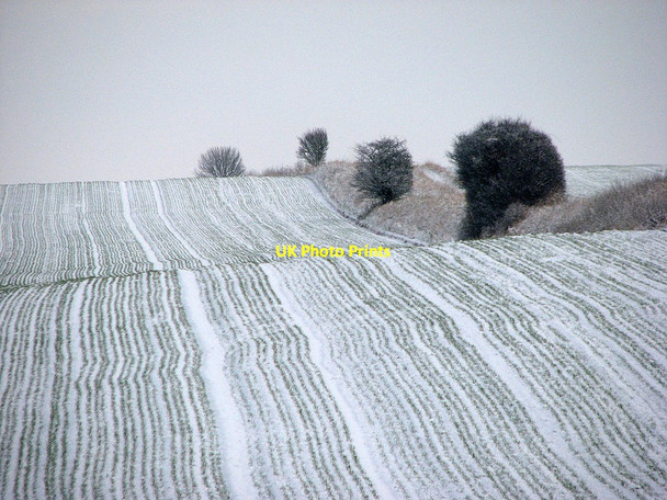 Photo 6"x4" A fold in the hillside Cherry Hinton c2013