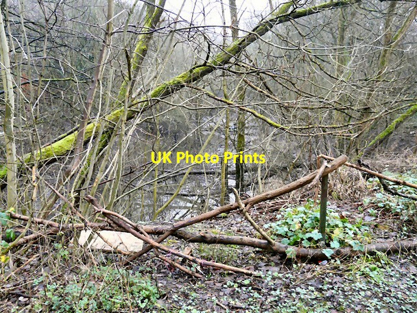 Photo 6"x4" Flooded valley Hyde\/SJ9494 c2013
