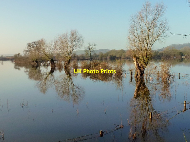 Photo 6"x4" Flooded Tirley Marsh, 10 Tirley c2013