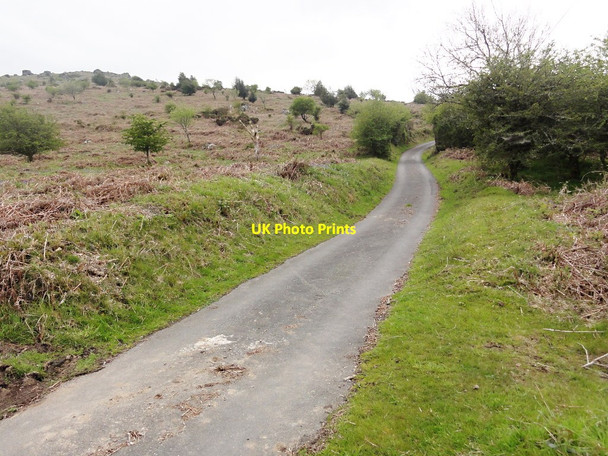 Photo 6"x4" The Road Through Hayne Down Water\/SX7580 c2012