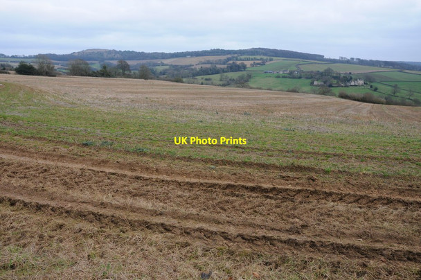 Photo 6"x4" Arable land near Podgwell Cottage Horsepools c2013