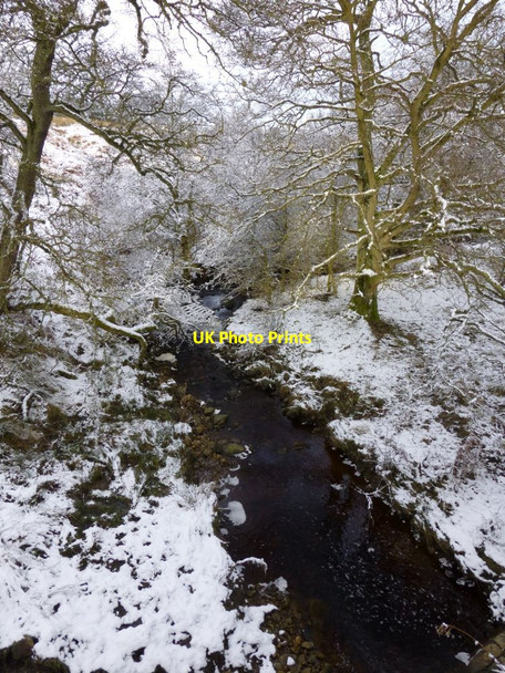 Photo 6"x4" Rimside Burn Edlingham c2013