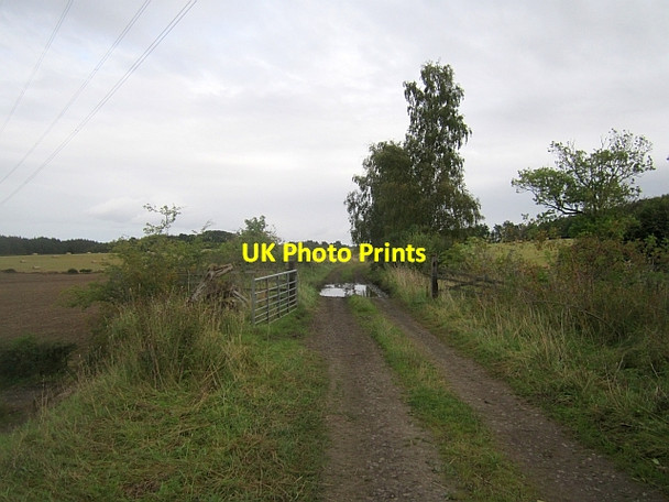 Photo 6"x4" Caledonian Railway trackbed Cargill c2012