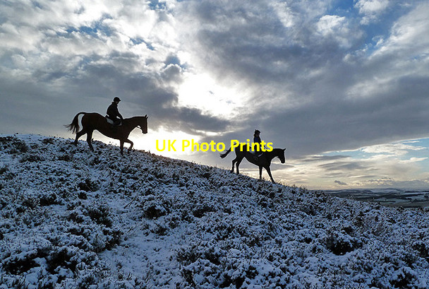 Photo 6"x4" Horse riders on Eildon Wester Hill Faughill c2013