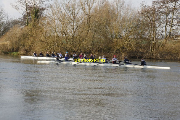 Photo 6"x4" Stroking out North Stoke\/SU6186 c2013