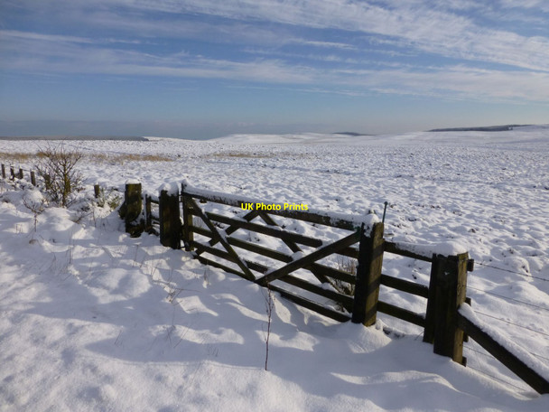 Photo 6"x4" Gate onto moor in winter Swallow Knowe c2013