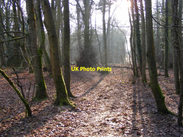 Photo 6"x4" Plantation Light Himley c2013