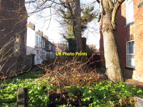 Photo 6"x4" Hop Grove off Chesnut Avenue, Hull Kingston upon Hull c2013