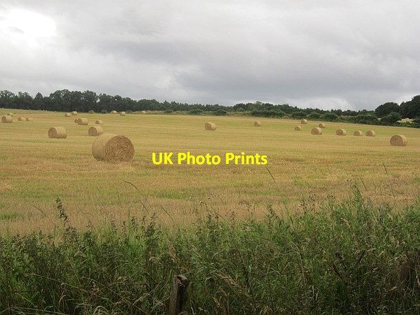 Photo 6"x4" Round bales, Balhomie Cargill c2012
