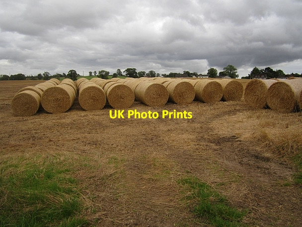 Photo 6"x4" Round bales, Guildtown Guildtown c2012