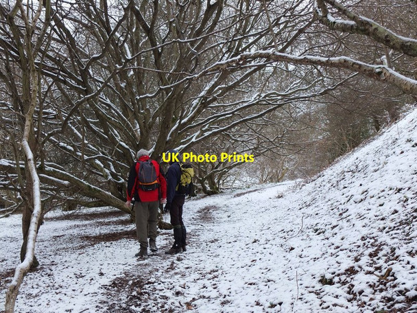 Photo 6"x4" In Woodhall Dean Spott\/NT6775 c2013