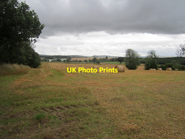 Photo 6"x4" Harvested field, Blindwells Guildtown c2012