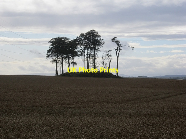 Photo 6"x4" Mound. Ardgilzean Newmiln\/NO1230 c2012