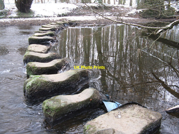 Photo 6"x4" The Wortley Leppings Green Moor\/SK2899 c2013