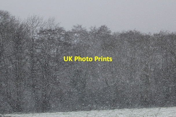 Photo 6"x4" The start of the snow storm on Mayall's Coppice Upper Welland c2013