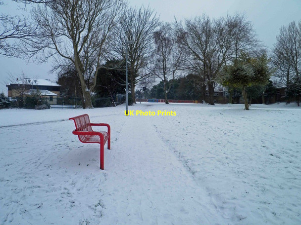 Photo 6"x4" A walk in the park Darfield c2013