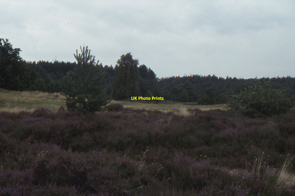 Photo 6"x4" Thetford Warren Thetford\/TL8783 c1993