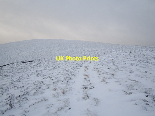 Photo 6"x4" Lousie Wood Law Elvanfoot c2013