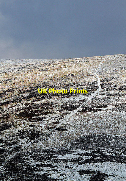 Photo 6"x4" A track on Peatshank Head Yarrow\/NT3527 c2013