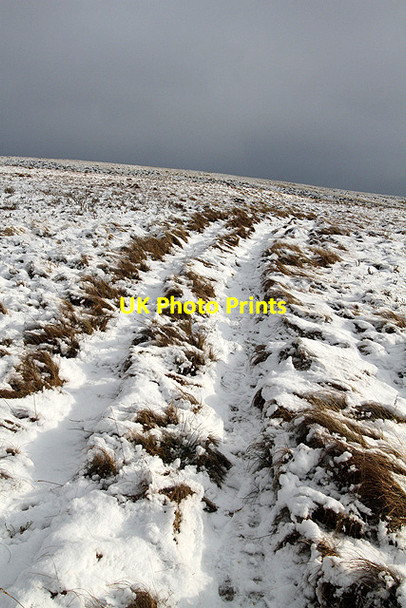 Photo 6"x4" A track on Glengaber Hill Yarrow\/NT3527 c2013