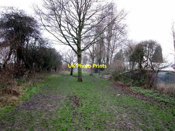 Photo 6"x4" A path leading Springhead Lane, Anlaby East Ella c2013