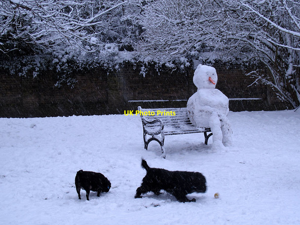 Photo 6"x4" One snowman and his dogs Greenwich\/TQ3977 c2013