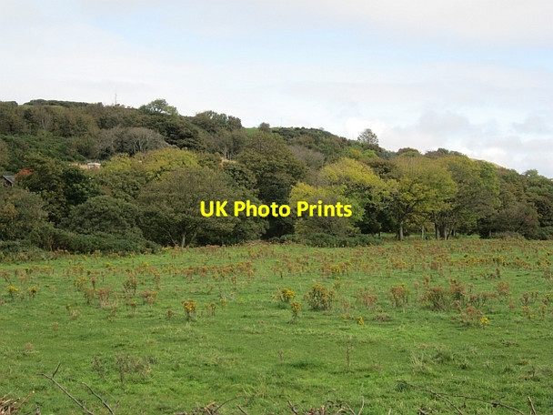Photo 6"x4" Field beside the Stinchar Ballantrae c2012