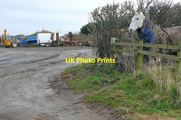 Photo 6"x4" Horse power Clifford Chambers c2013