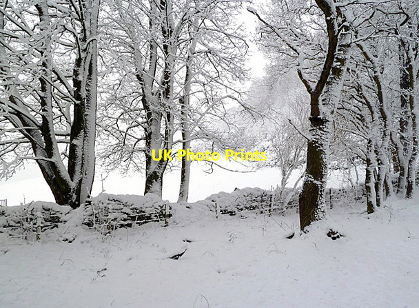 Photo 6"x4" A wintry scene on Blaikie's Hill Galashiels c2013