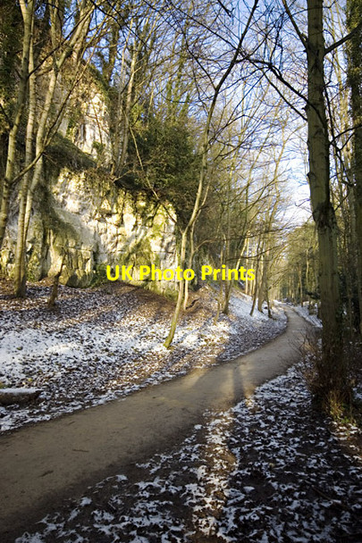 Photo 6"x4" Path in Humber Bridge Country Park Hessle\/TA0326 c2013