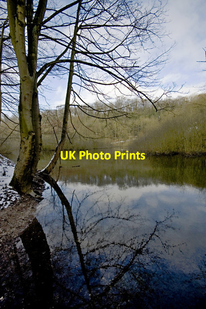 Photo 6"x4" Humber Bridge Country Park pond Hessle\/TA0326 c2013