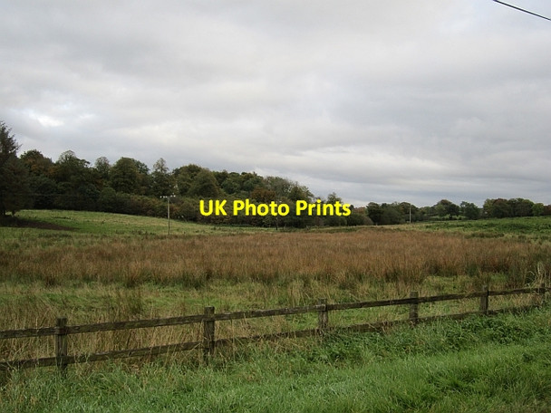 Photo 6"x4" Wet farmland KELLS CONNOR c2012